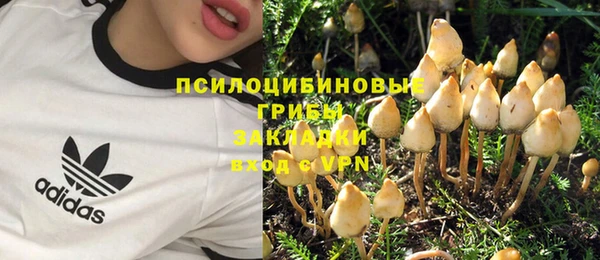 прущая мука Алексин