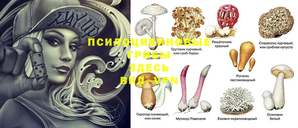 COCAINE Алзамай