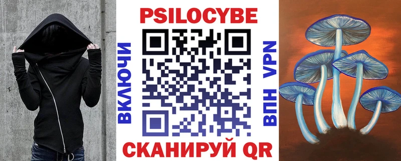Псилоцибиновые грибы Psilocybine cubensis  Челябинск 